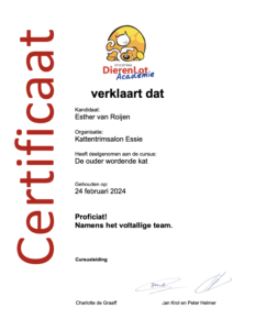 Certificaat de ouder wordende kat