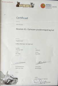 Certficaat oplossen probleemgedrag kat