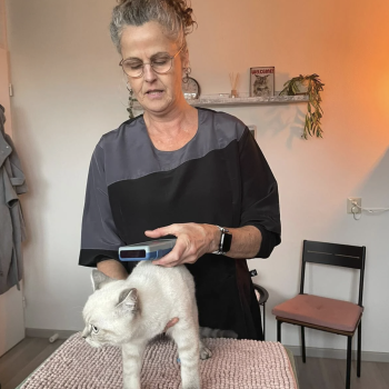 Scherm­afbeelding 2026-04-21 om 22.02.55