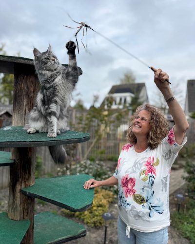 kattentrimsalon rustige behandeling kat zonder stress