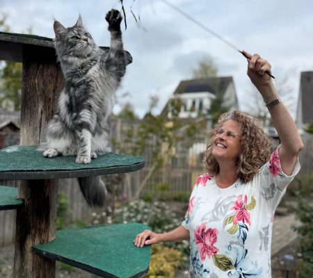 kattentrimsalon rustige behandeling kat zonder stress
